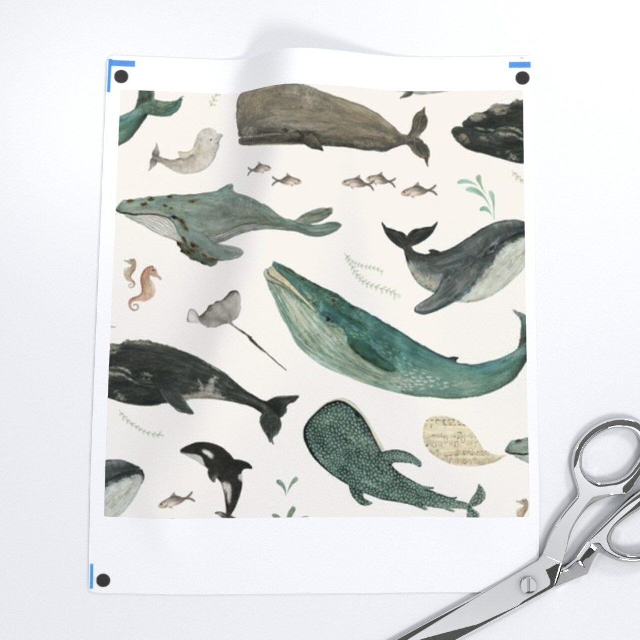 Whale Sea Life Ocean Green Charcoal Gray Swimming Nautical Animals Whimsical Beach Watercolor Trendy Custom Printed Fabric by Spoonflower Various Fabrics by the Yard or Fat Quarter